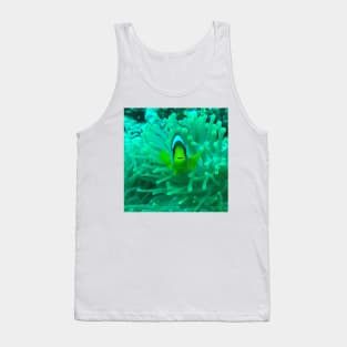 Greetings from Clownfish Tank Top